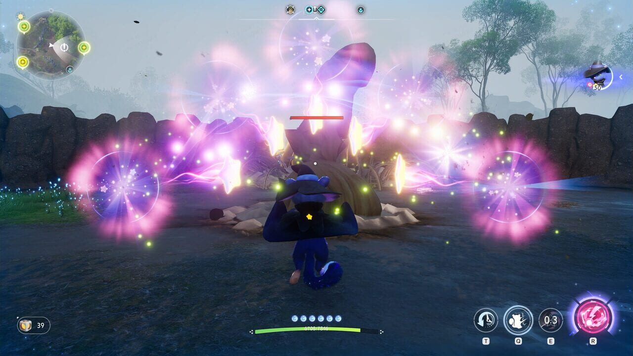 Capture de Aniimo