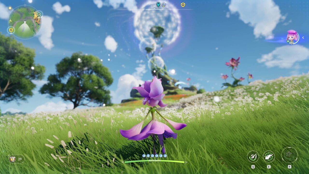 Capture de Aniimo