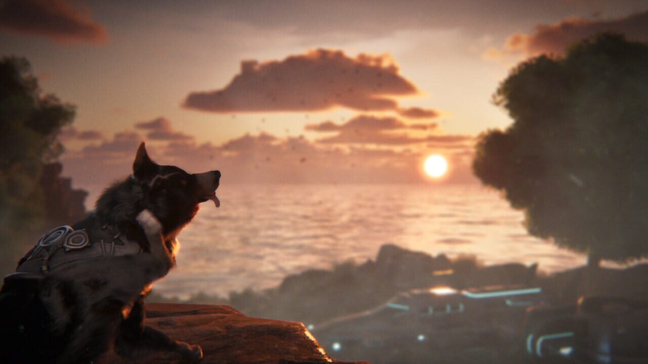 Capture de Barkour