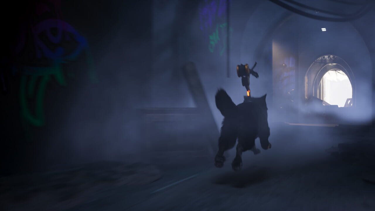Capture de Barkour