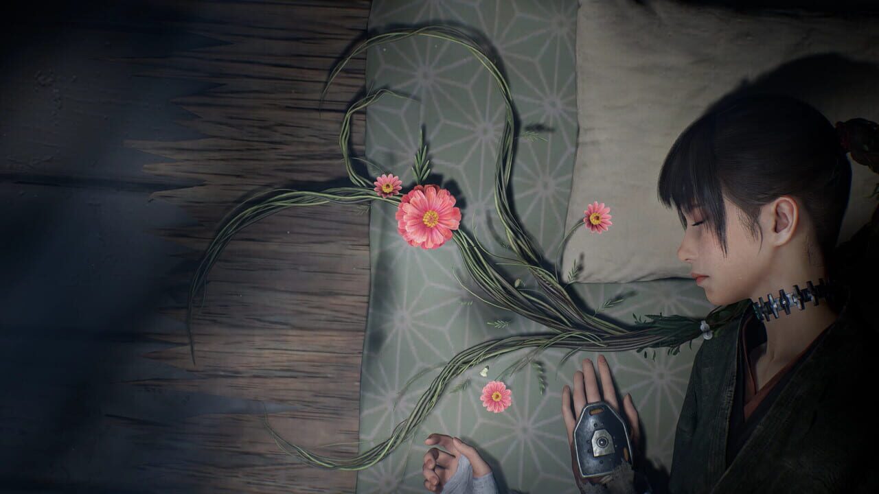 Capture de Beast of Reincarnation