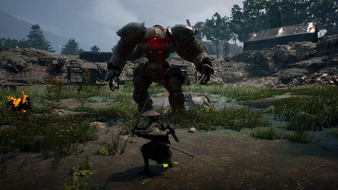 Capture de Beast of Reincarnation