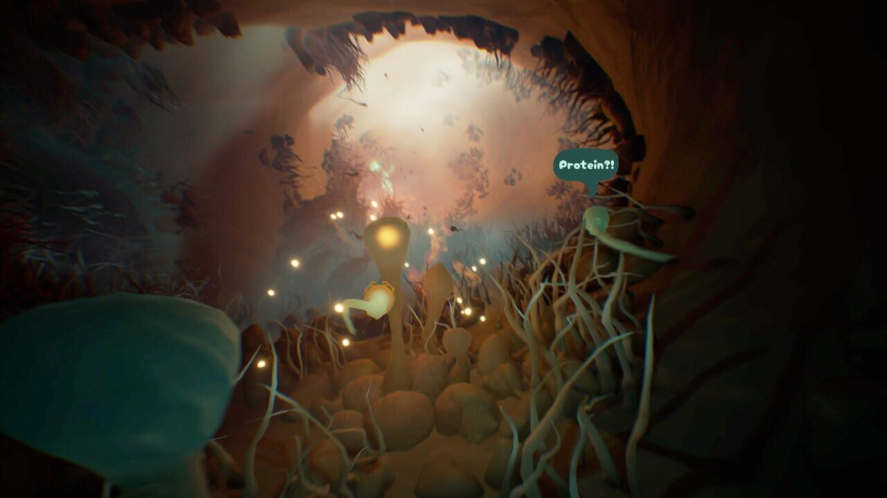 Capture de Become