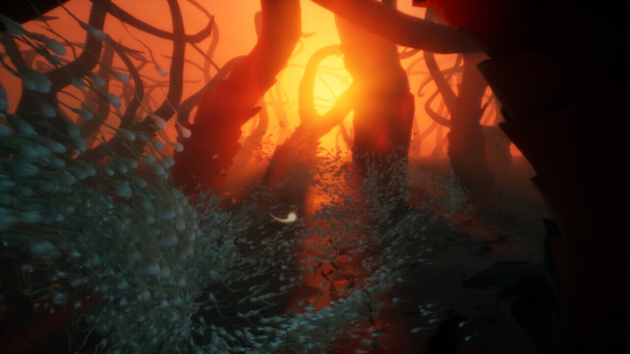 Capture de Become