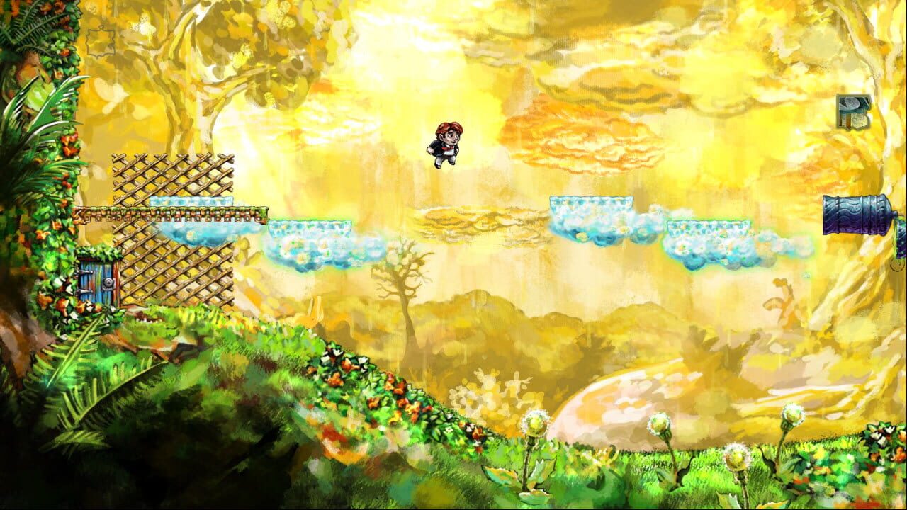 Capture de Braid