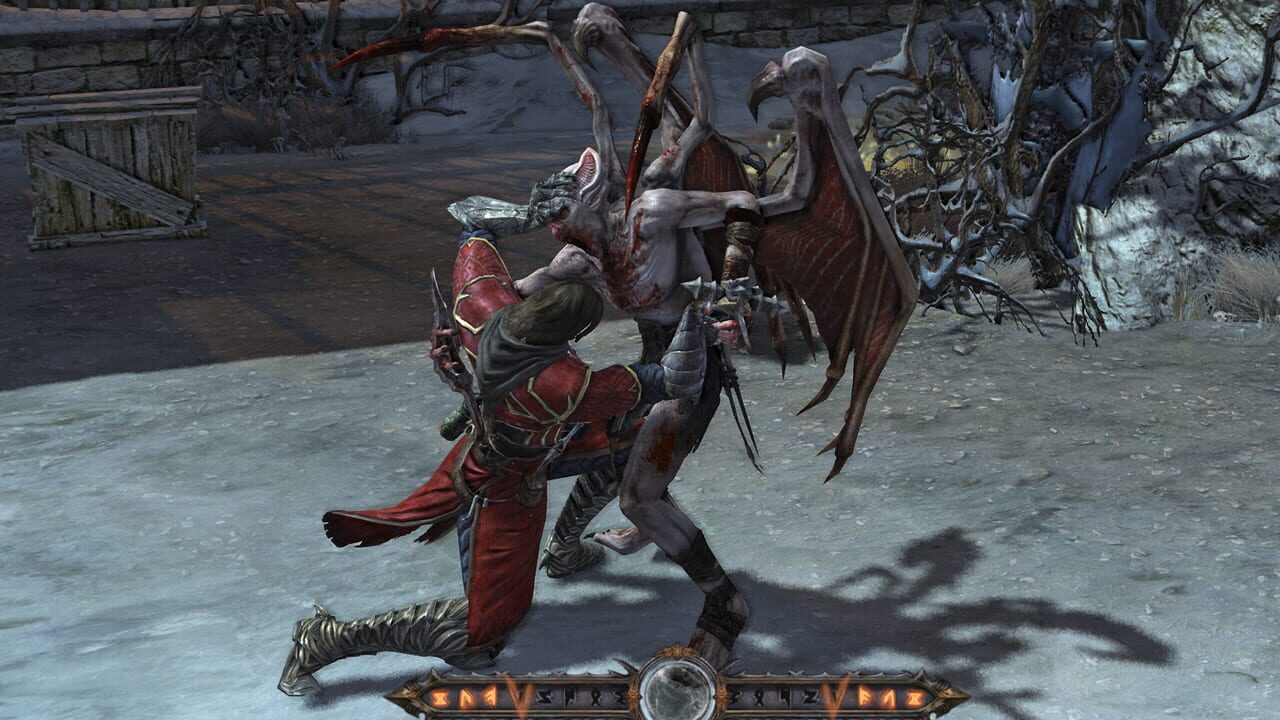 Capture de Castlevania: Lords of Shadow