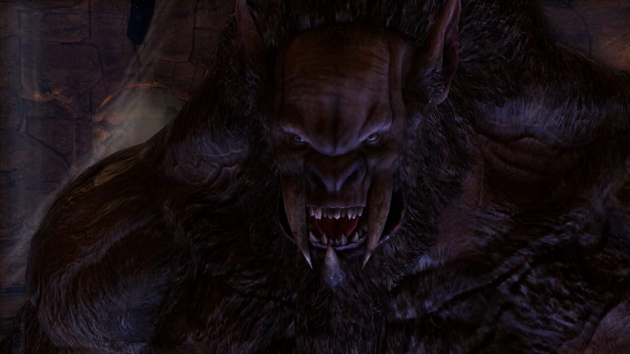 Capture de Castlevania: Lords of Shadow