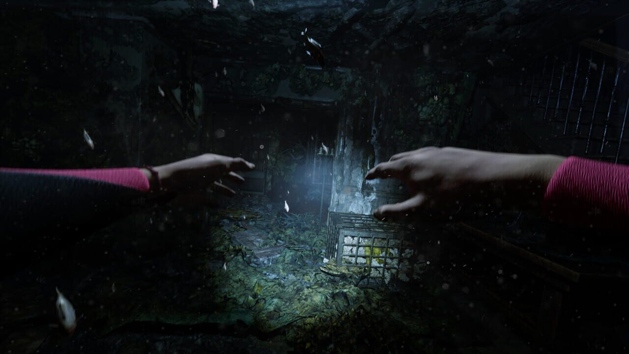 Capture de Dark Mass