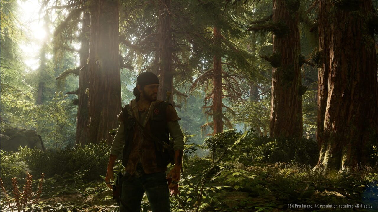 Capture de Days Gone
