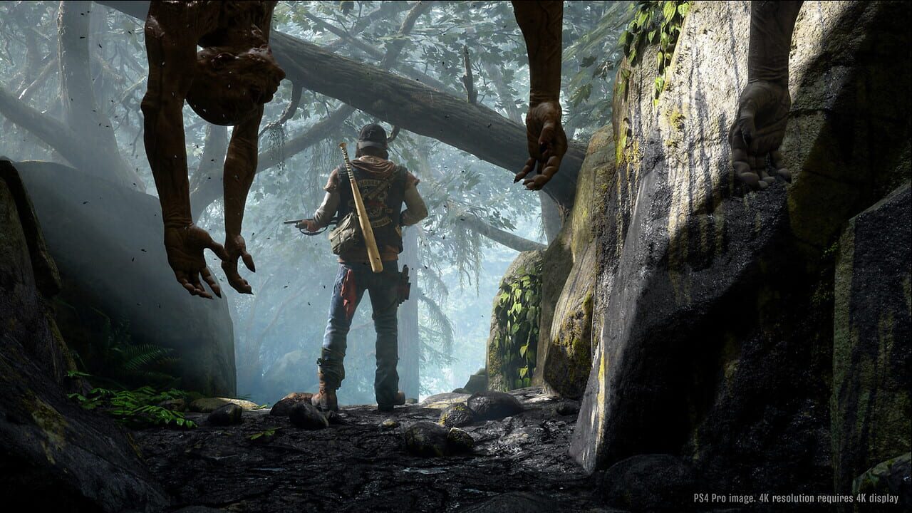 Capture de Days Gone
