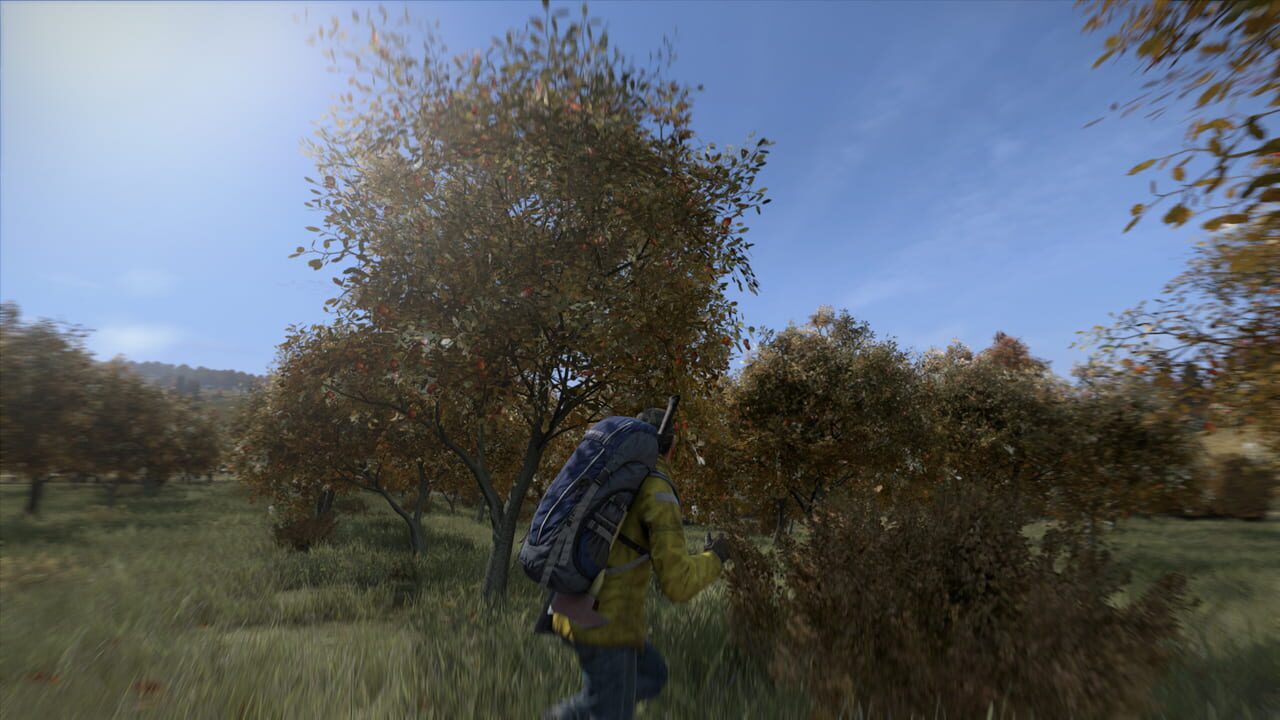 Capture de DayZ