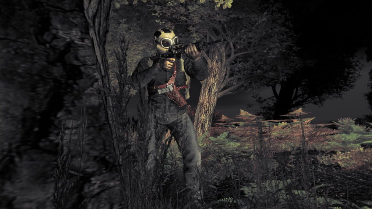 Capture de DayZ