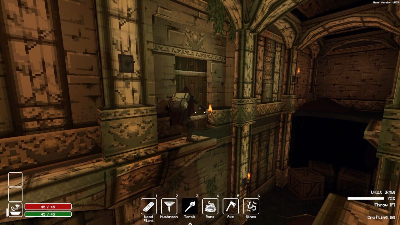 Capture de Deep Dish Dungeon
