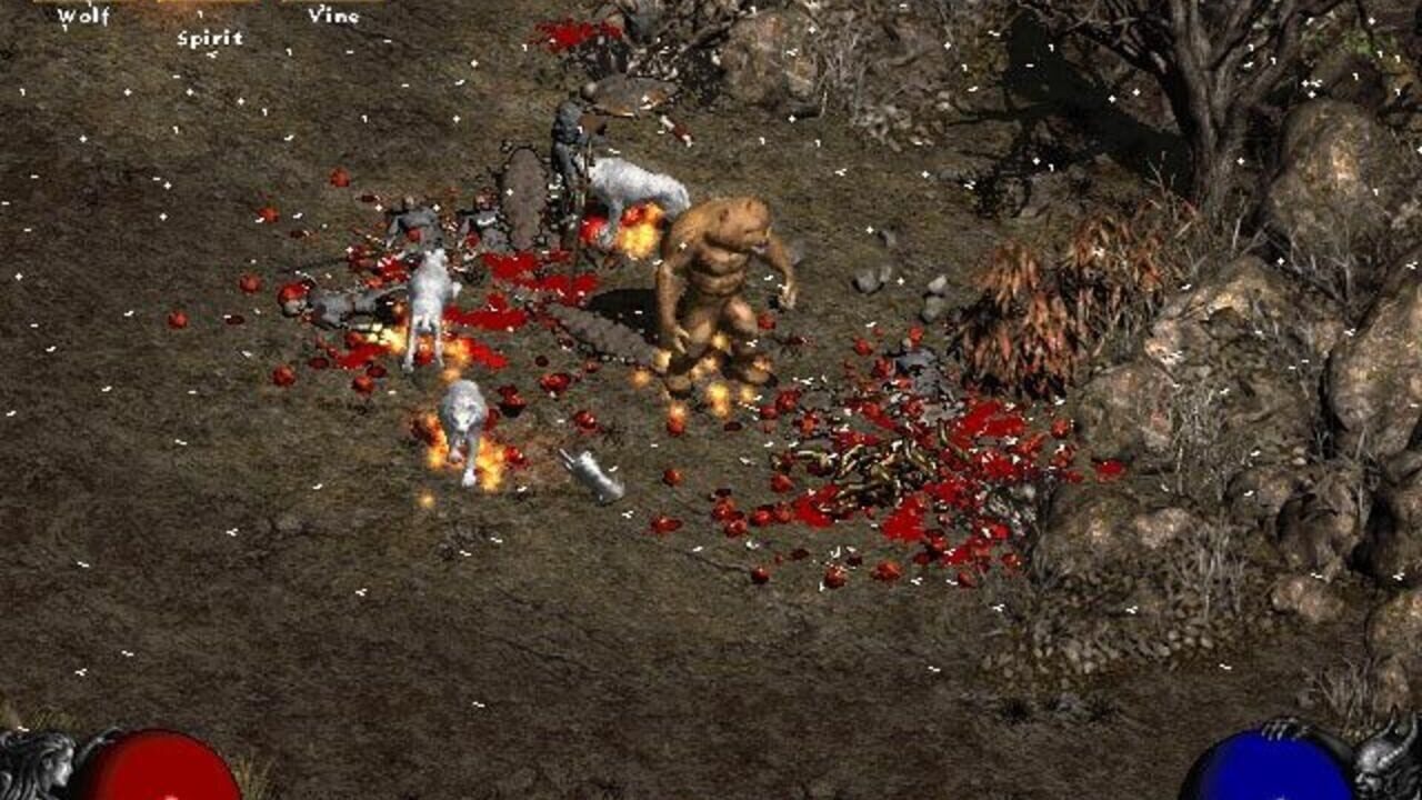 Capture de Diablo II