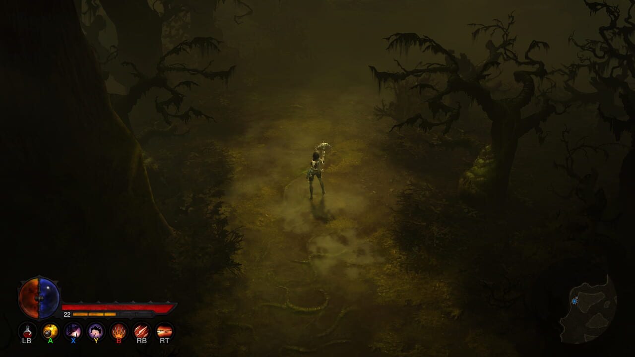 Capture de Diablo III