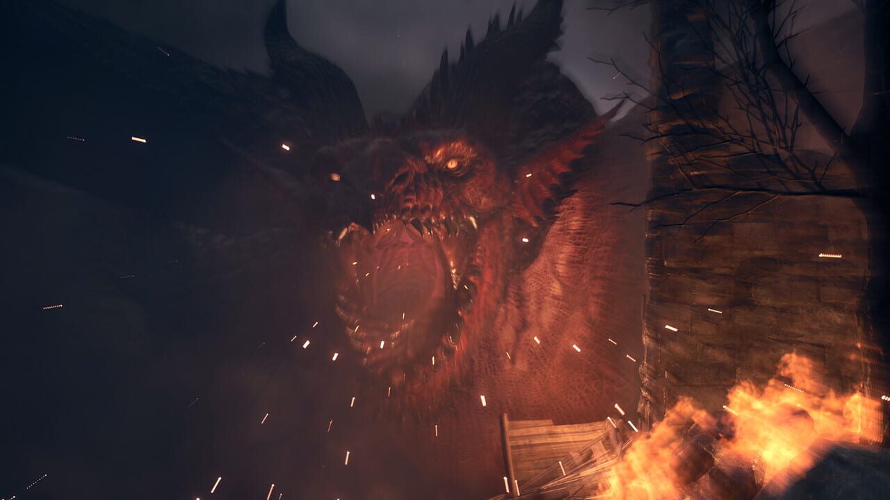 Capture de Dragon's Dogma II