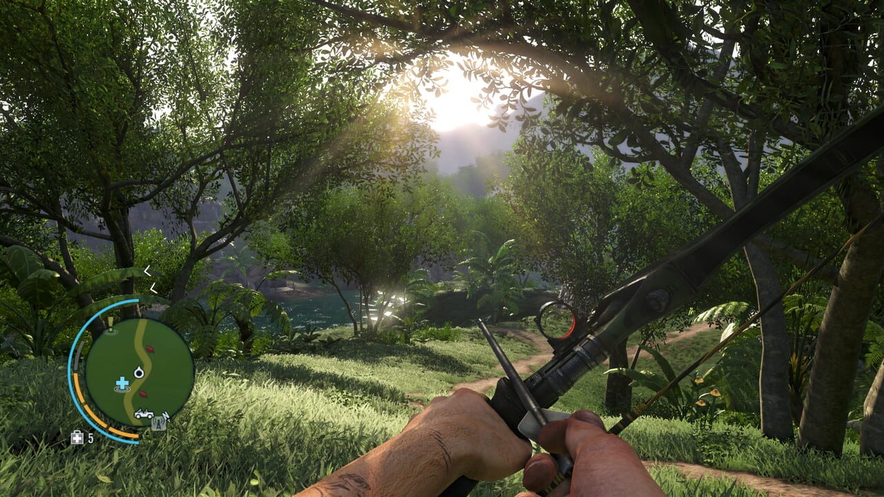 Capture de Far Cry 3