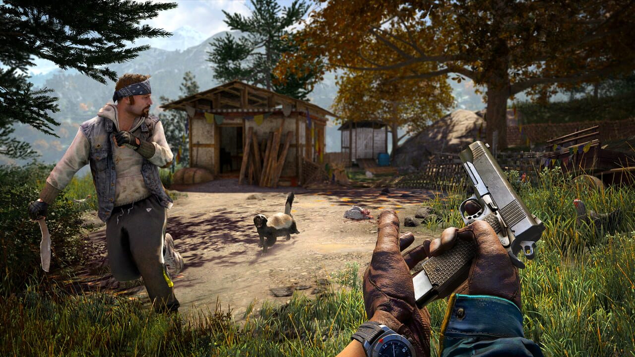 Capture de Far Cry 4