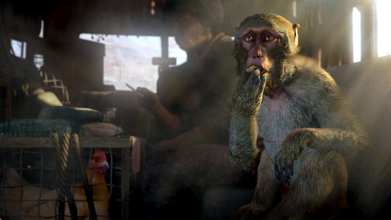 Capture de Far Cry 4