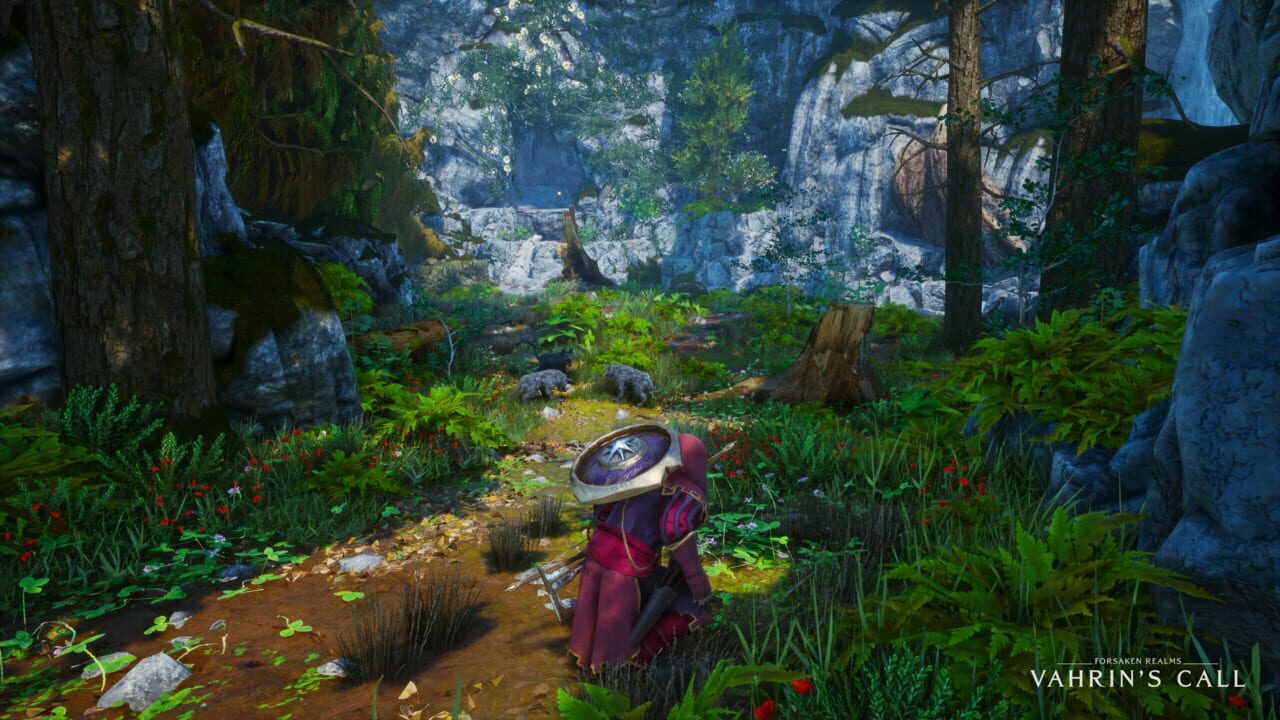 Capture de Forsaken Realms: Vahrin's Call