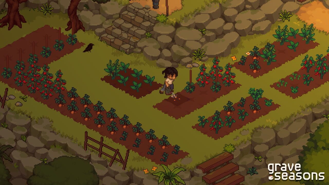Capture de Grave Seasons