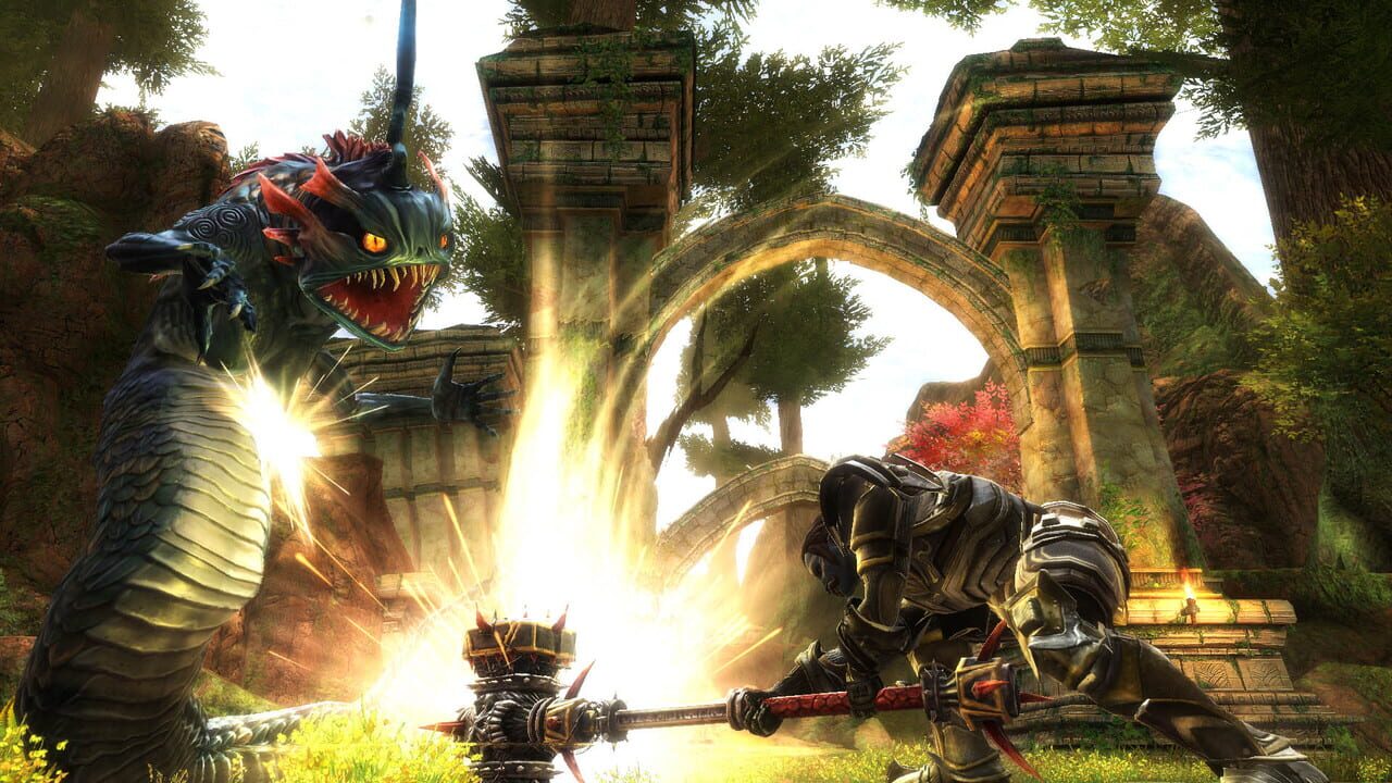 Capture de Kingdoms of Amalur: Reckoning
