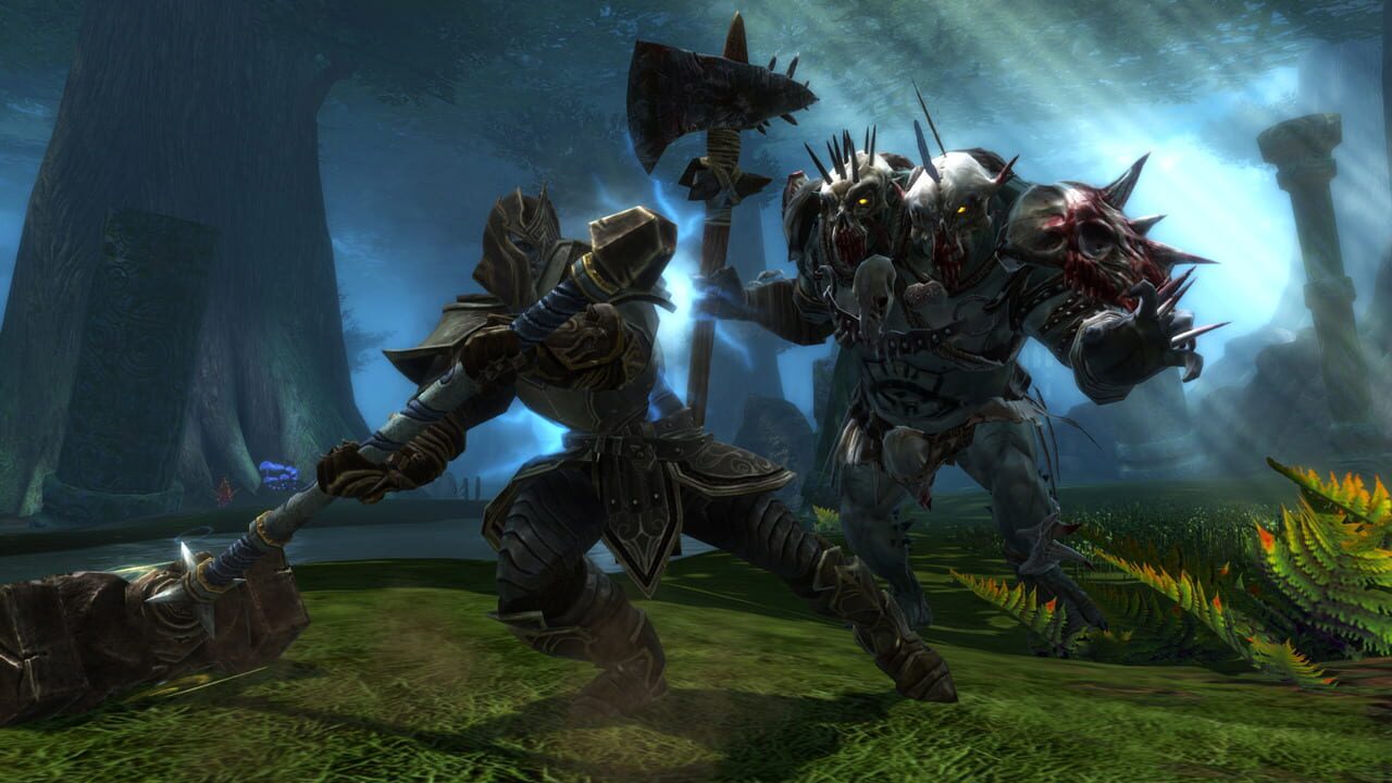 Capture de Kingdoms of Amalur: Reckoning
