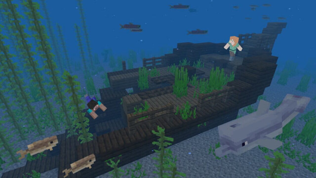 Capture de Minecraft: Java Edition