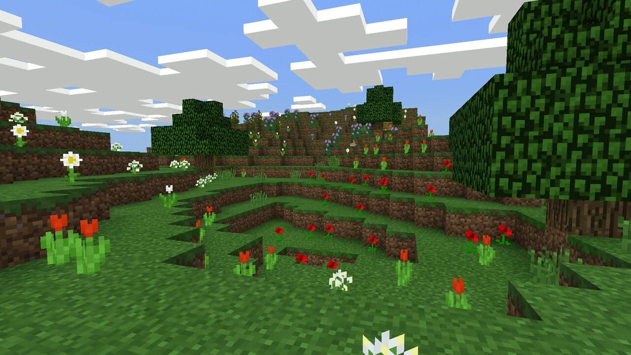 Capture de Minecraft: Java Edition