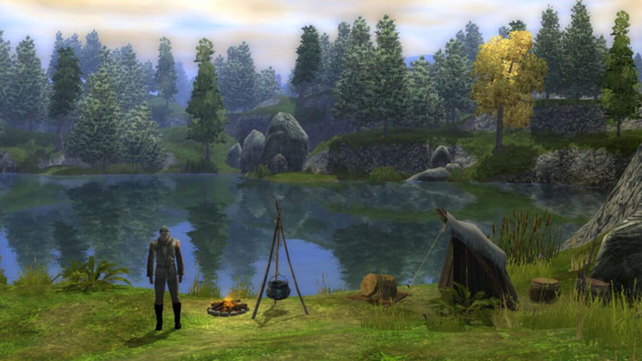 Capture de Neverwinter Nights 2