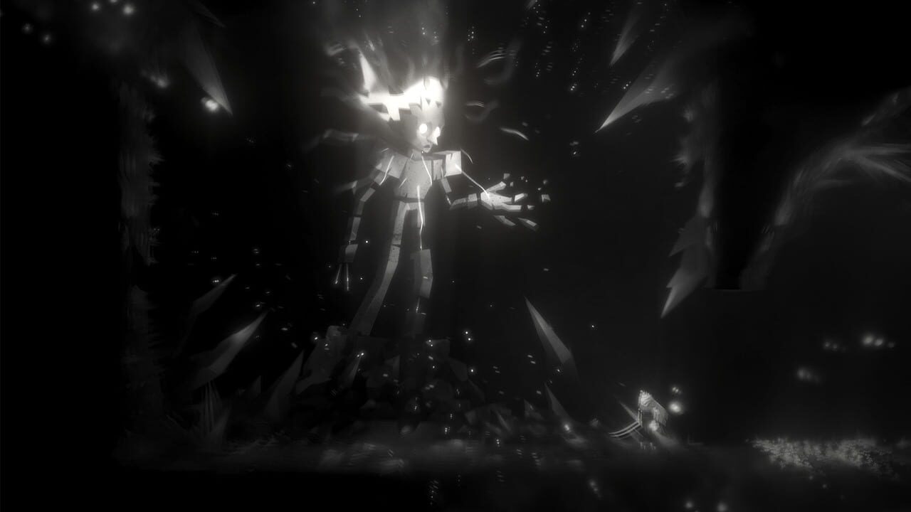 Capture de Nocturnal II
