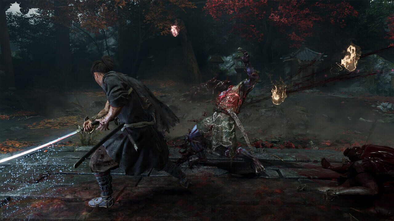 Capture de Onimusha: Way of the Sword