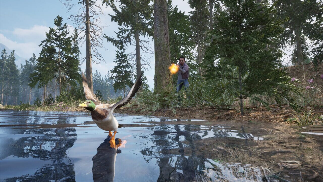 Capture de Online: 404
