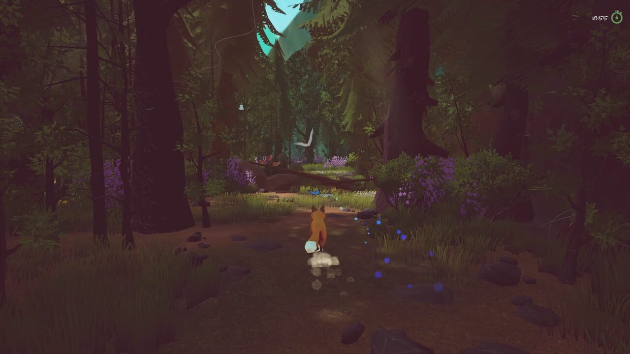 Capture de Paws and Leaves: A Last Tale