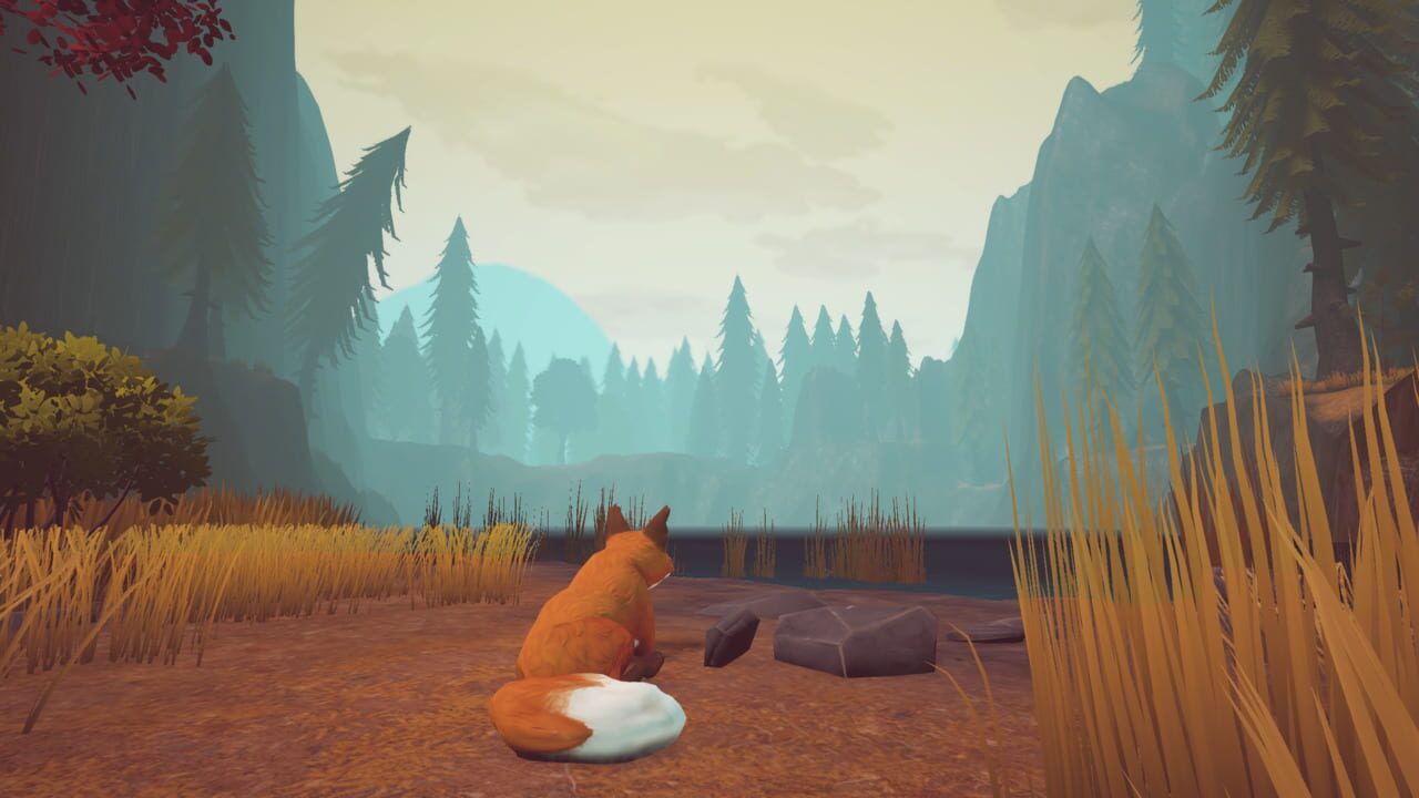 Capture de Paws and Leaves: A Last Tale