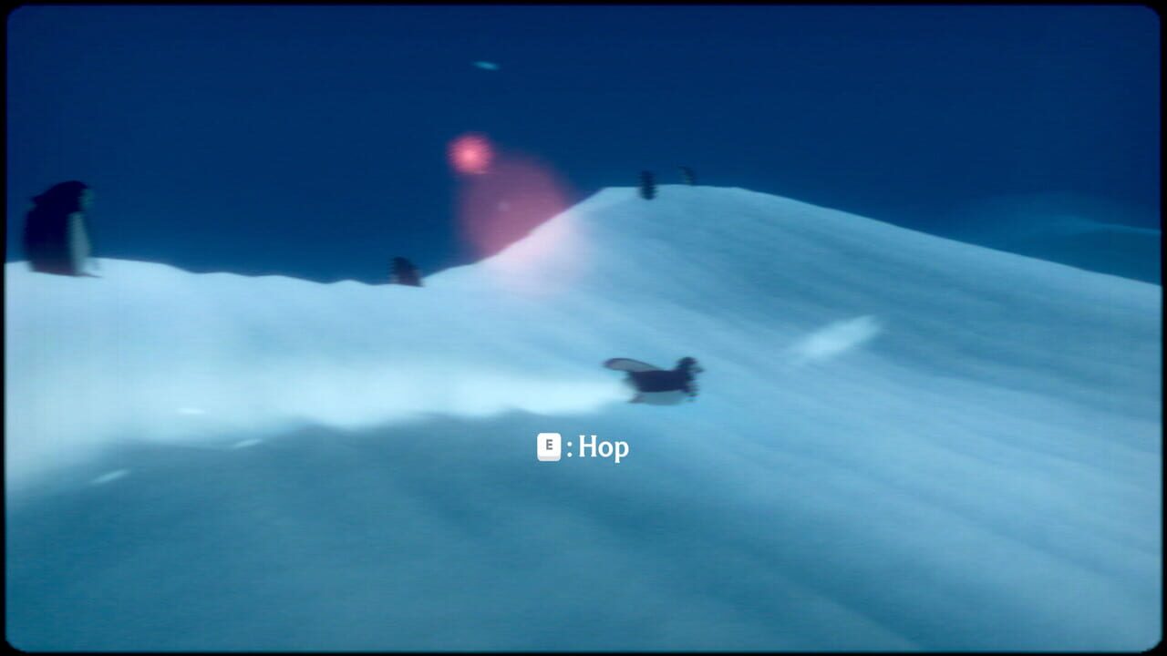 Capture de Penguin Colony