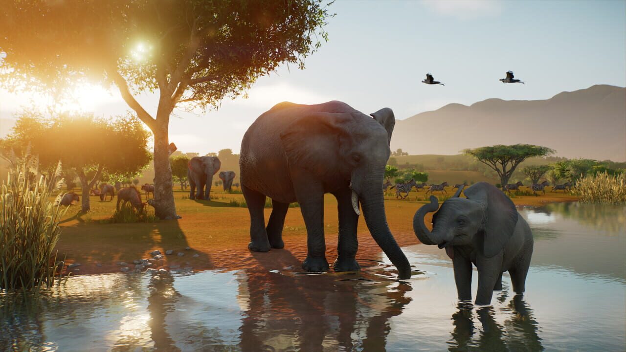 Capture de Planet Zoo 2