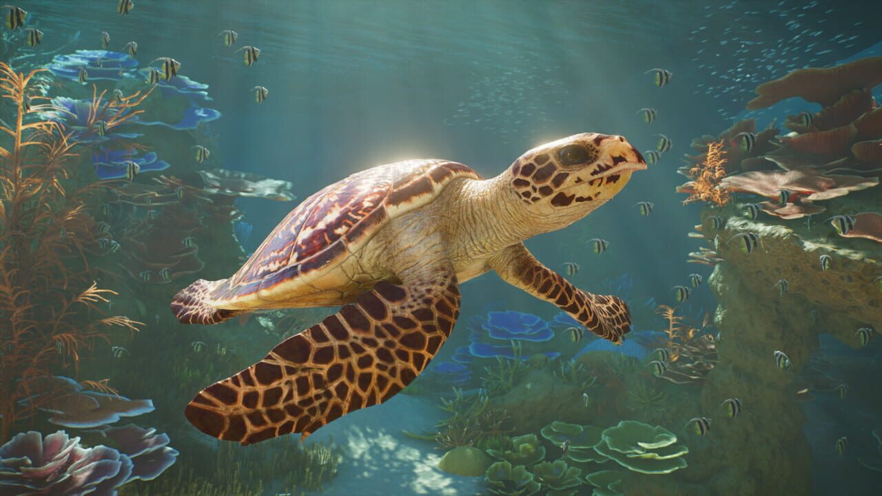 Capture de Planet Zoo 2