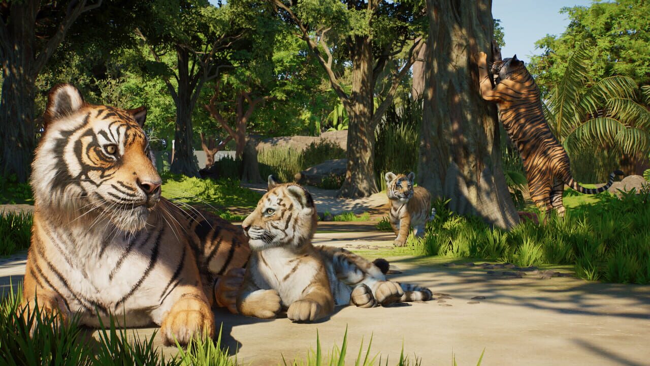 Capture de Planet Zoo 2