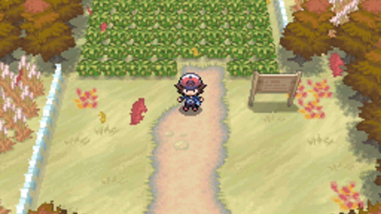 Capture de Pokémon Black Version