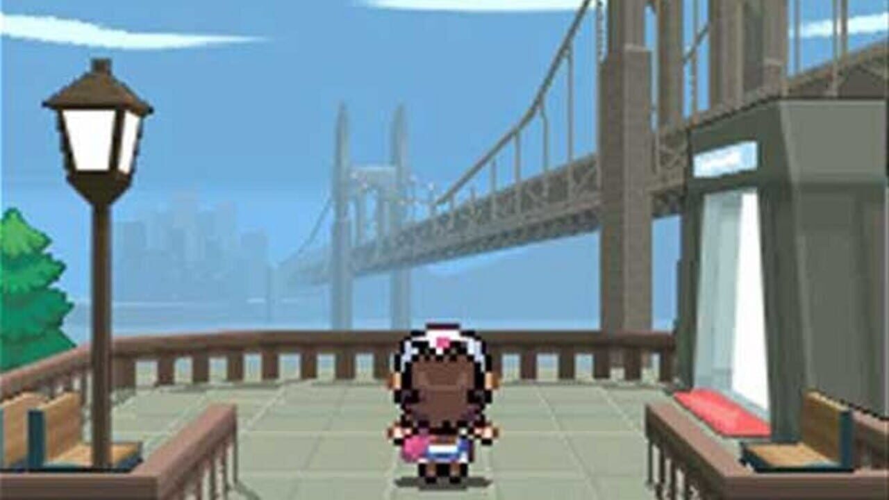 Capture de Pokémon Black Version