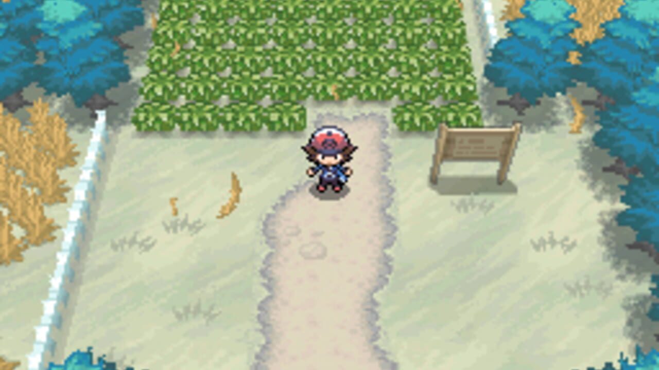 Capture de Pokémon Black Version