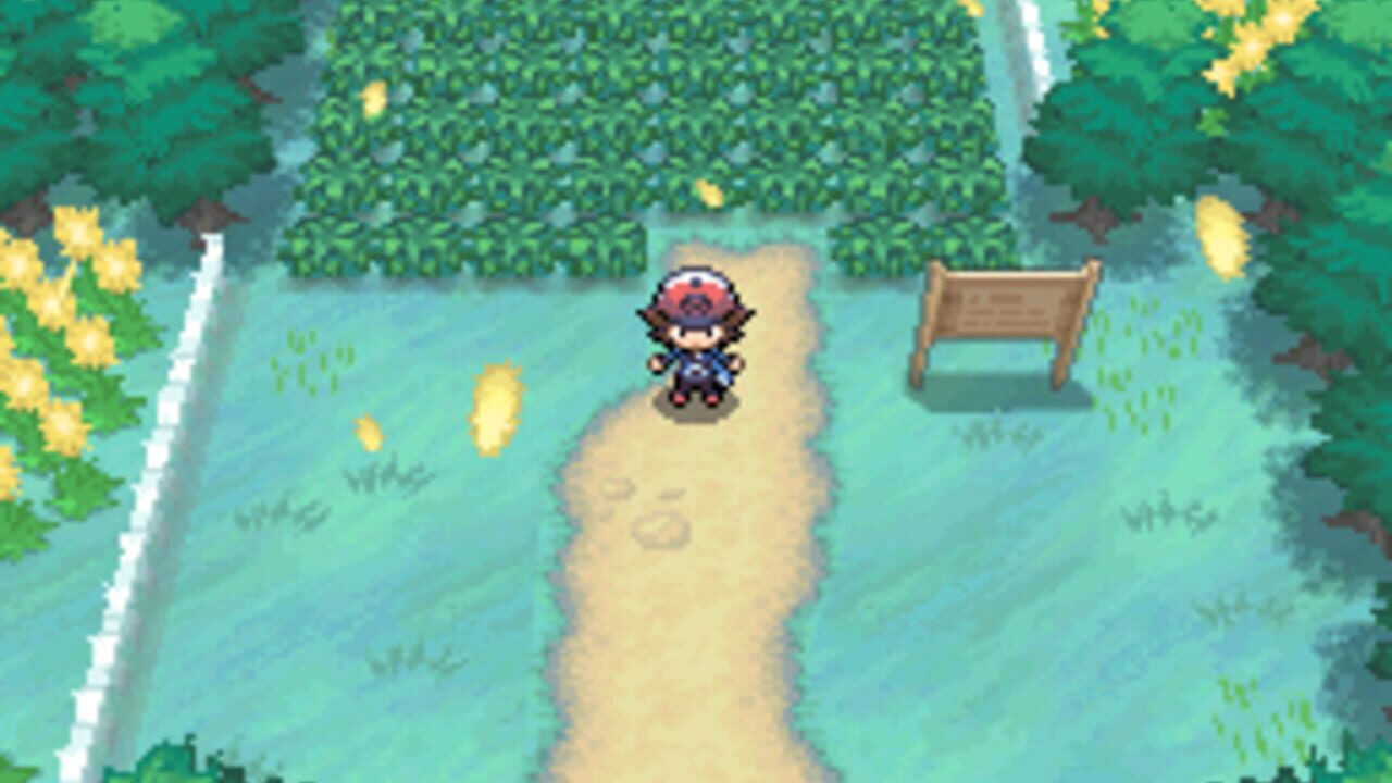 Capture de Pokémon Black Version