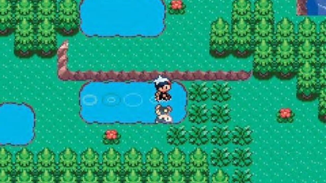 Capture de Pokémon Sapphire Version