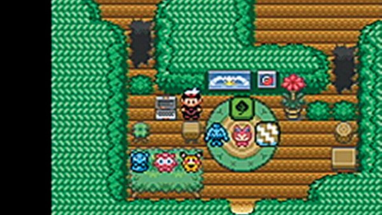 Capture de Pokémon Sapphire Version