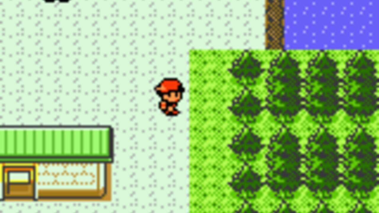 Capture de Pokémon Silver Version