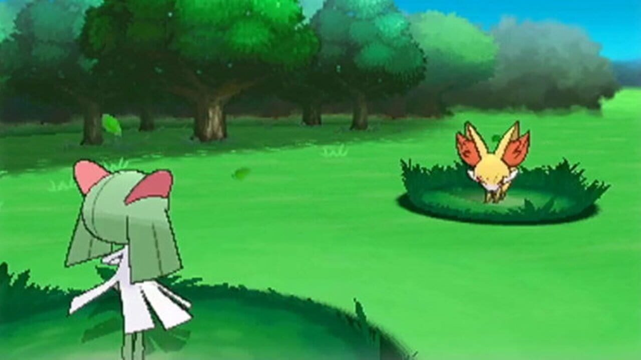 Capture de Pokémon Y