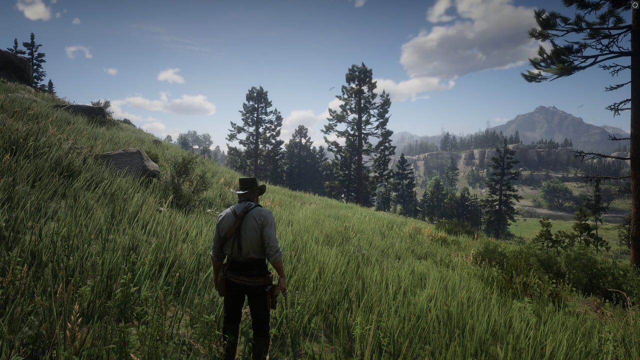 Capture de Red Dead Redemption 2