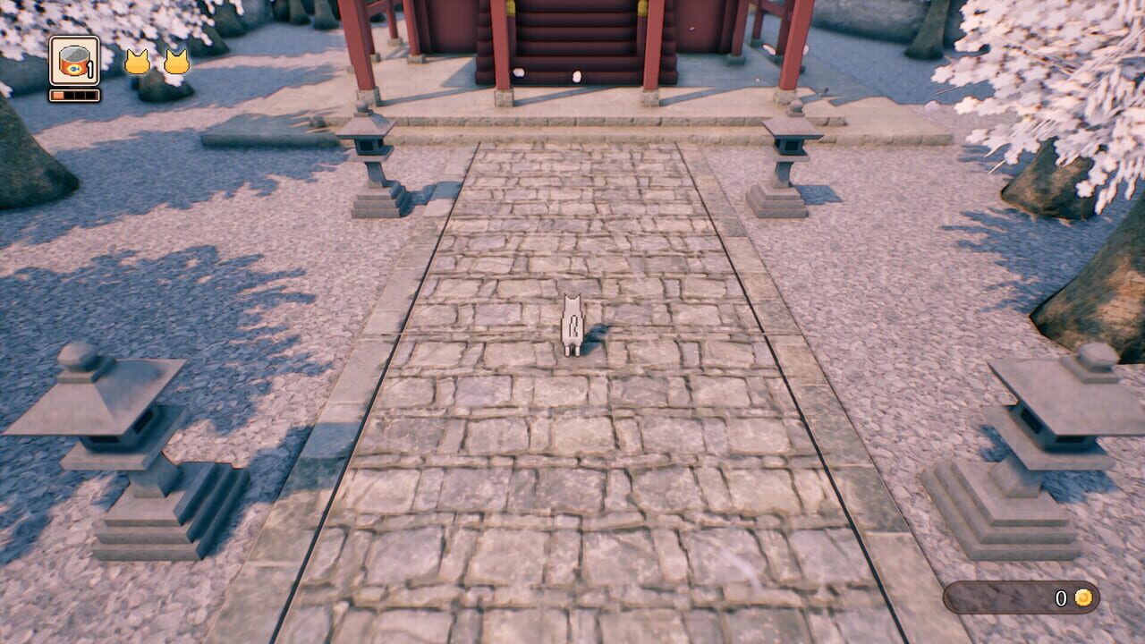Capture de Rural Cat Trails
