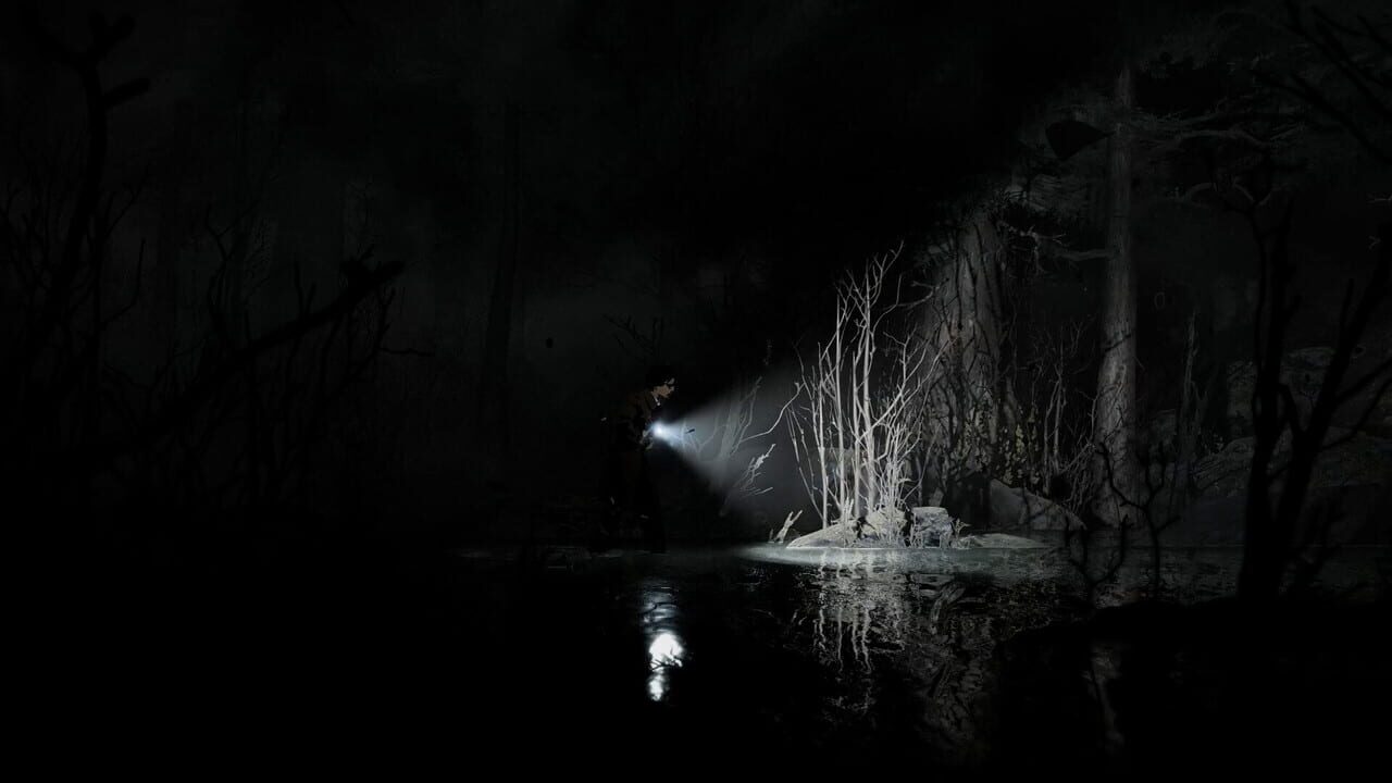 Capture de Silver Pines